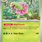 (001) Pokemon TCG MEP Black Star Promos Single: Meganium   Promo