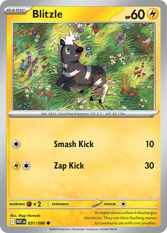 (031/086) Pokemon TCG White Flare Single: Blitzle   Common