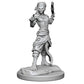 WizKids - D&D Nolzurs Marvelous Miniatures: Shifter Fighter - Wave 20