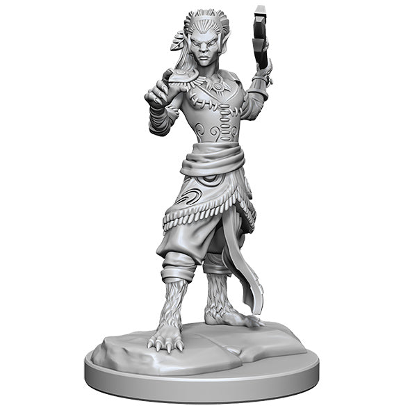 WizKids - D&D Nolzurs Marvelous Miniatures: Shifter Fighter - Wave 20