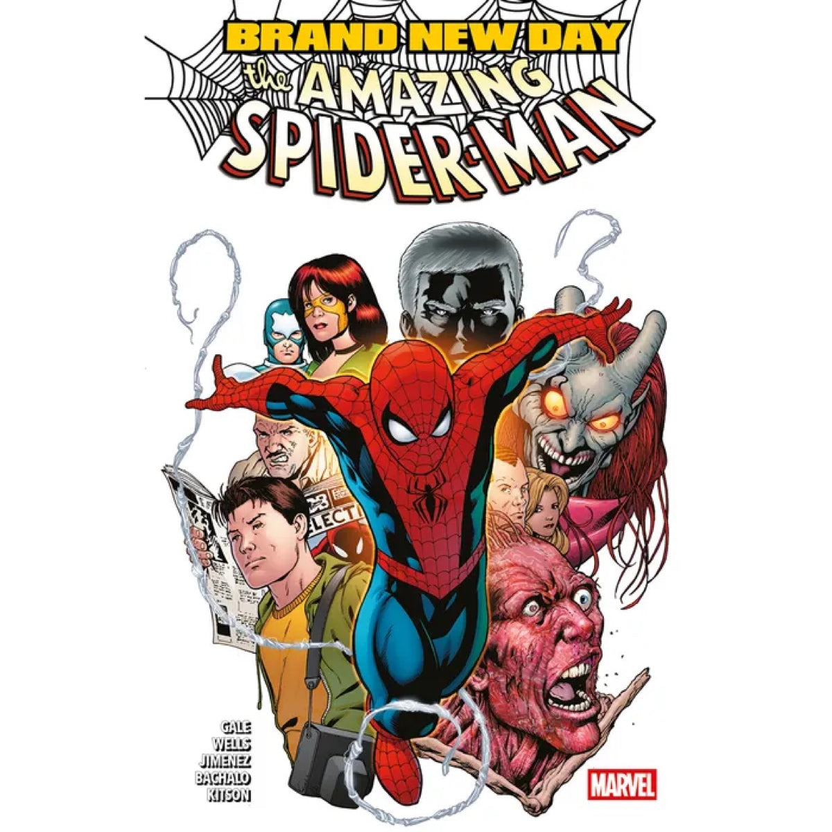 The Amazing Spider Man: Brand New Day Vol. 2