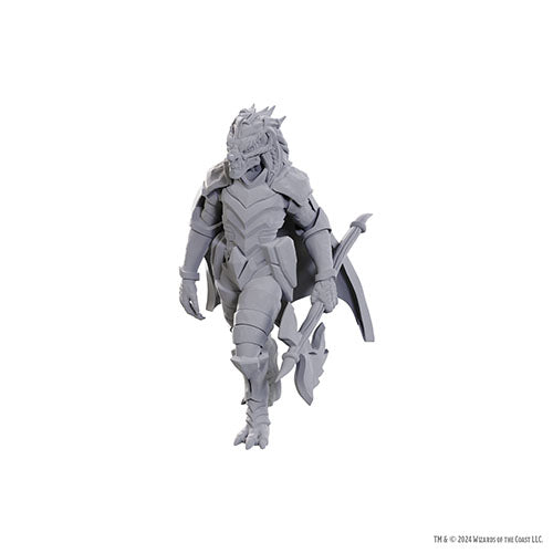 Wizkids - D&D Nolzurs Marvelous Miniatures: Wave 25 - Dragonborn of Tiamat