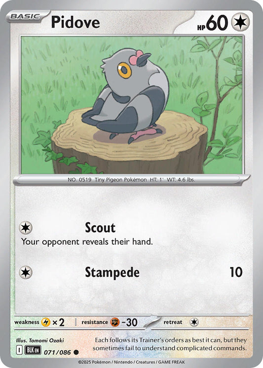 (071/086) Pokemon TCG Black Bolt Single: Pidove  Reverse Holo Common