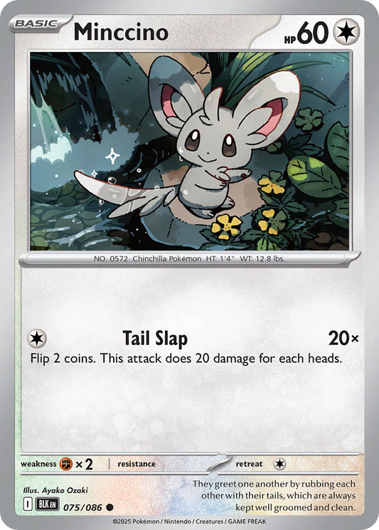 (075/086) Pokemon TCG Black Bolt Single: Minccino  Reverse Holo Common