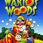 NES: Wario's Woods