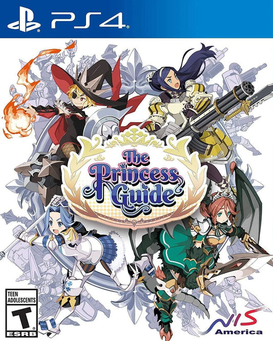 Playstation 4: The Princess Guide