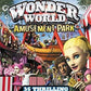 Nintendo Wii: Wonder World Amusement Park