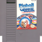 NES: Pinball Quest