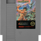 NES: Wizards and Warriors