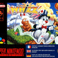 Super Nintendo: Whizz