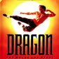 Master System: Dragon: The Bruce Lee Story