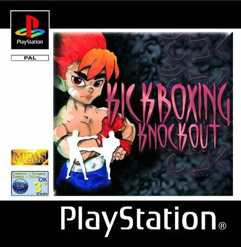 Playstation: Kickboxing Knockout