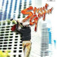 Playstation 2: Street Golfer