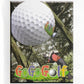 Playstation 2: Go Go Golf