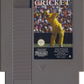 NES: International Cricket