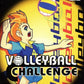 Playstation 2: Volleyball Challenge