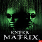Playstation 2: Enter the Matrix