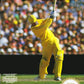 NES: International Cricket