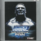 Playstation 2: WWE Smackdown Here Comes the Pain