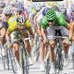 PSP: Pro Cycling Season 2010