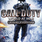 Playstation 2: Call of Duty World at War Final Fronts
