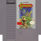 NES: Castlevania