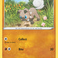 (029/073) Pokemon TCG Champion������s Path Single: Rockruff Reverse Holo Common