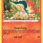 (221) Pokemon TCG SWSH Black Star Promos Single: Cyndaquil  Promo