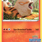 (304) Pokemon TCG SWSH Black Star Promos Single: Arcanine  Promo