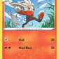 (033/202) Pokemon TCG Sword & Shield Single: Raboot  Uncommon