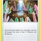 (144/203) Pokemon TCG Evolving Skies Single: Crystal Cave  Uncommon