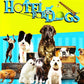 Nintendo Wii: Hotel for Dogs