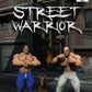 Playstation 2: Street Warrior