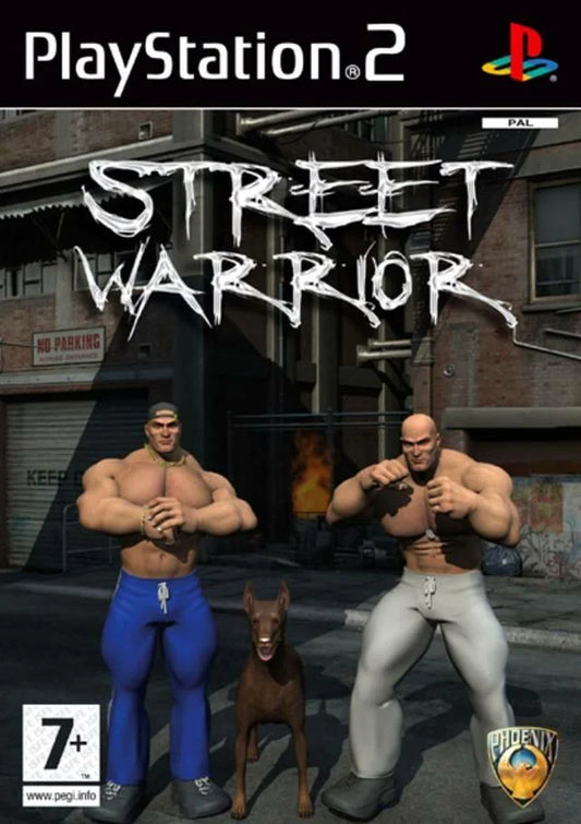 Playstation 2: Street Warrior