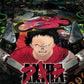 Playstation 2: Akira Psycho Ball