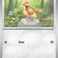 (162/197) Pokemon TCG Obsidian Flames Single: Pidgey   Common